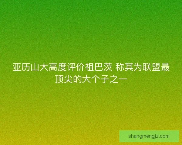亚历山大高度评价祖巴茨 称其为联盟最顶尖的大个子之一