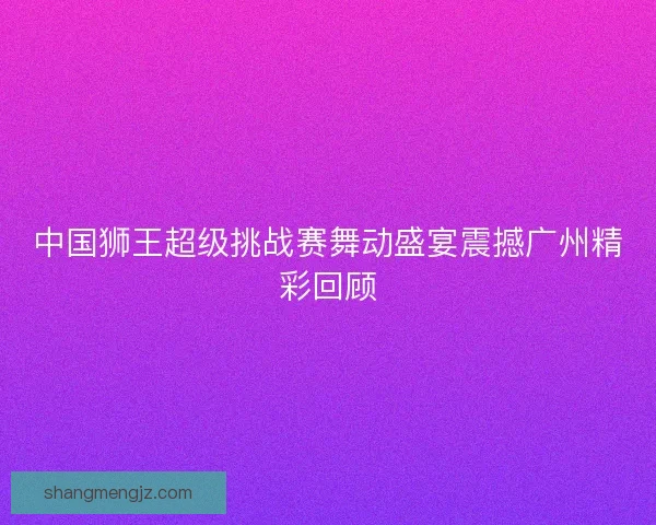 中国狮王超级挑战赛舞动盛宴震撼广州精彩回顾